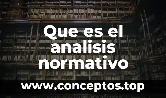 Que es el analisis normativo