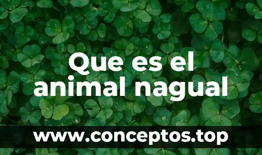 Que es creatividad animal ejemplos 7 Que es el animal nagual
