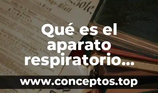 Que es un cuadro respiratorio 5 Qué es el aparato respiratorio biología moderna libros