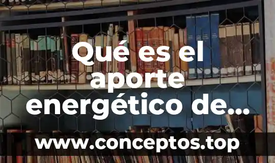 Qué es el aporte energético de los alimentos
