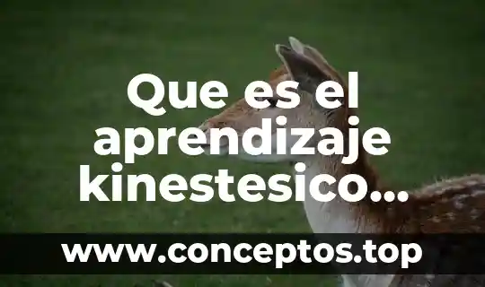 Que es el plasma sanguineo segun autores 6 Que es el aprendizaje kinestesico segun autores