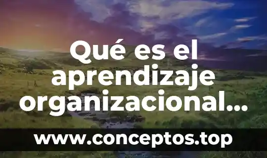 Qué es el aprendizaje organizacional y cuál es su función