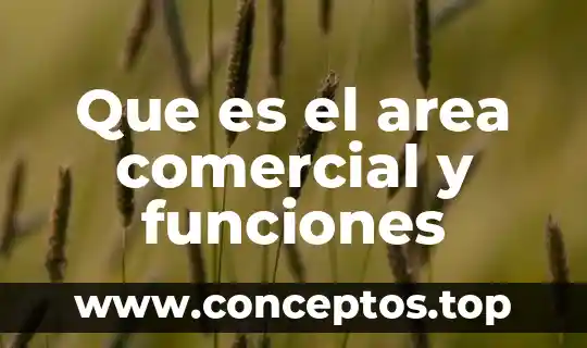 Que es el area comercial y funciones