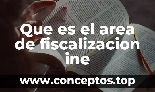 Que es t1 en una organización 6 Que es el area de fiscalizacion ine