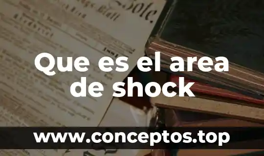 Que es el area de shock