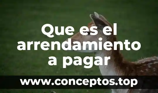 Que es el arrendamiento a pagar