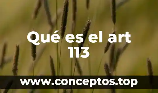 Qué es el art 113