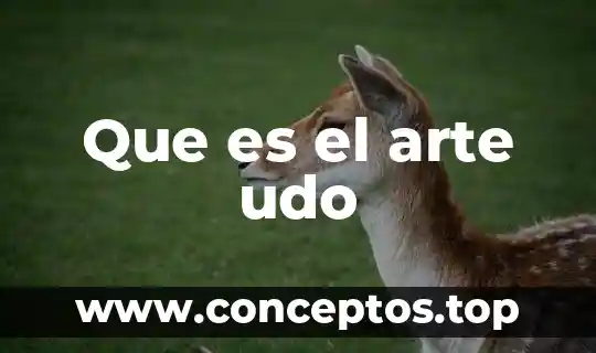 Que es el arte udo