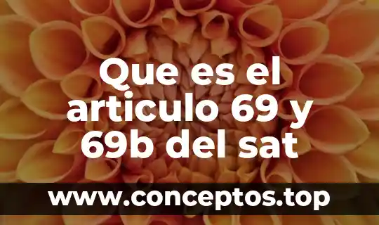 Qué es el sat y sus funciones en México 8 Que es el articulo 69 y 69b del sat