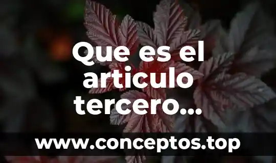 Que es el articulo tercero constitucional