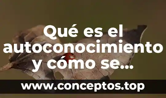 Qué es el autoconocimiento y cómo se logra desarrollar