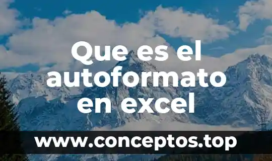 Que es el autoformato en excel