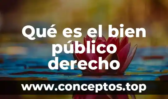 Que es el decalogo en el derecho hebreo 6 Qué es el bien público derecho