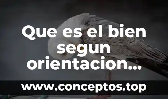 Que es el bien segun orientacion escolar