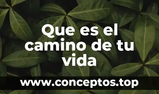 Por que es importante conocer tu apellido 4 Que es el camino de tu vida