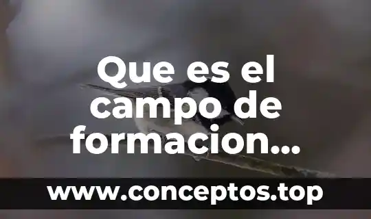 Que es un problema en el campo de la investigacion 8 Que es el campo de formacion academica