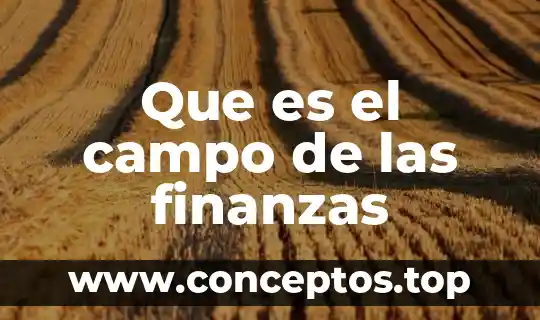Que es el campo de las finanzas