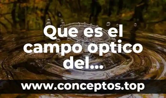 Que es el objetivo del microscopio compuesto 6 Que es el campo optico del microscopio