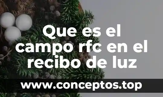 Que es nombre del servicio en recibo de la luz 4 Que es el campo rfc en el recibo de luz