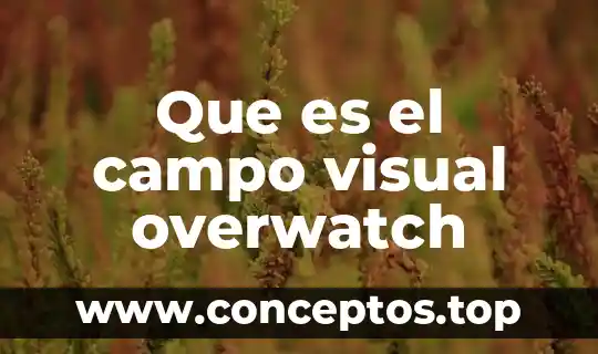 Que es el campo visual overwatch