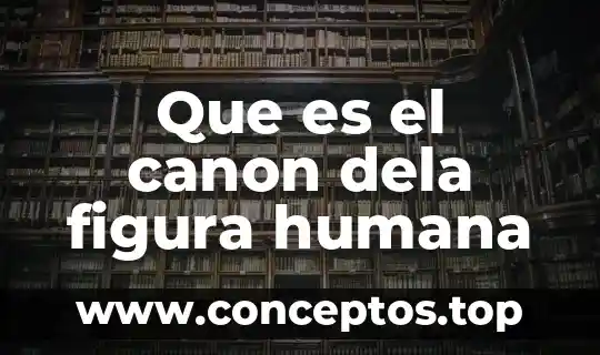 Que es la sabiduria humana segun la biblia 3 Que es el canon dela figura humana