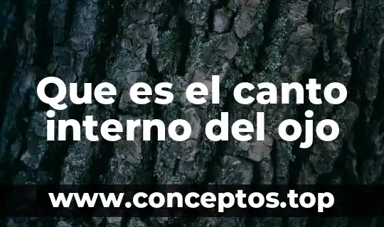 Que es el canto interno del ojo