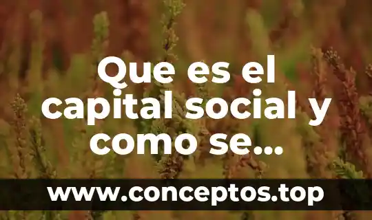 Que es el capital social y como se integra
