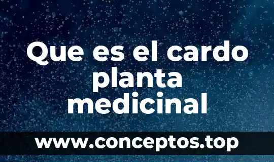Que es la chaya planta medicinal 3 Que es el cardo planta medicinal