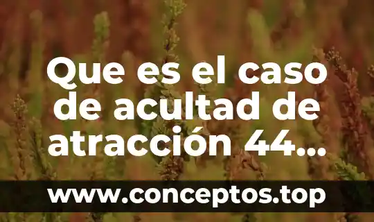 Que es la bandera de la humanidad 3 Que es el caso de acultad de atracción 44 2017