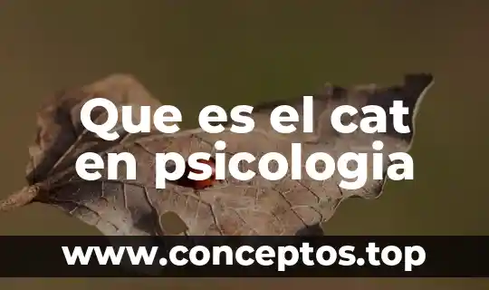 Que es el cat en psicologia