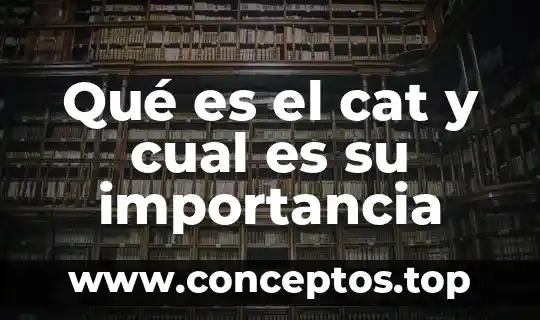 Qué es el cat y cual es su importancia