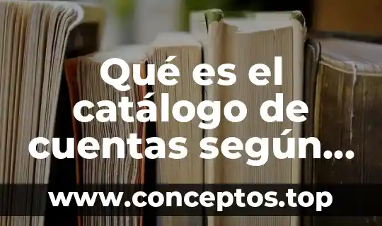 Qué es el catálogo de cuentas según la ley