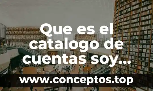 Yo soy mugrosita y se que es un feo nombre 7 Que es el catalogo de cuentas soy conta
