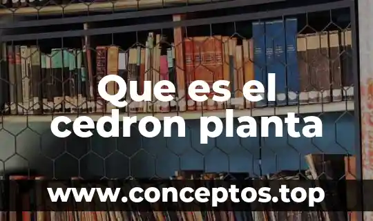 Que es el cedron planta