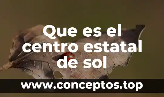 Que es el centro estatal de sol