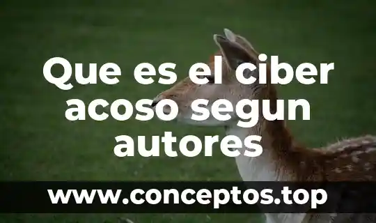 Que es el ciber acoso segun autores