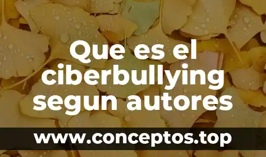 Que es el ciberbullying segun autores