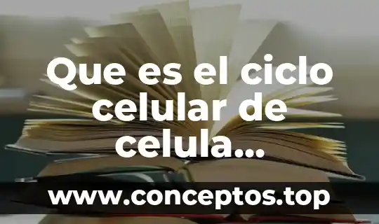 Que es el ciclo celular de celula eucariota