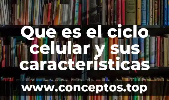 Que es el ciclo celular y sus caracteristicas