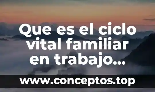 Que es el ciclo vital familiar en trabajo social