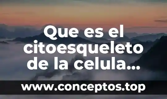Que es el citoesqueleto de la celula animal