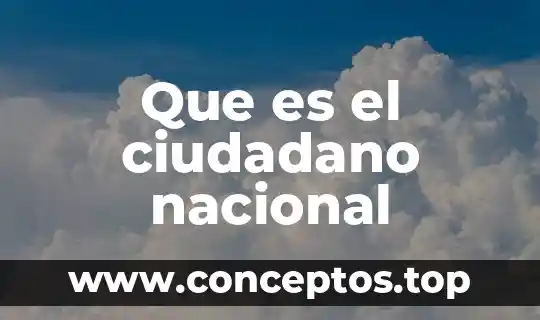 Que es el ciudadano nacional