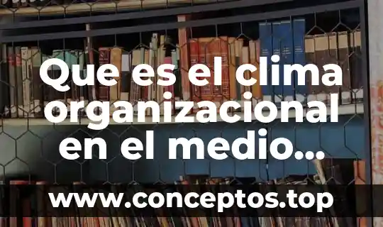 Que es el clima organizacional en el medio ambiente interno