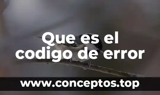 Que es el codigo de error