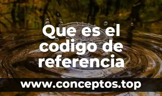 Que es el codigo de referencia