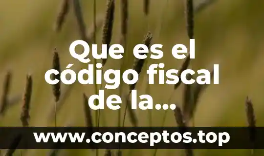 Que es el código fiscal de la federación