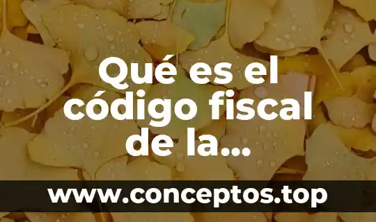 Qué es el código fiscal de la federación México