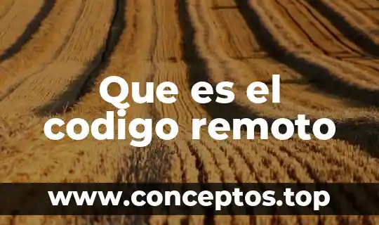 Que es el codigo remoto