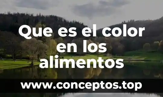 Que es el color en los alimentos