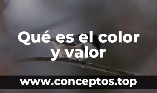 Qué es el color y valor